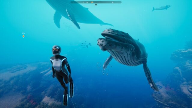 Beyond Blue PC Screenshot