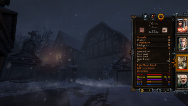 Dungeon Kingdom: Sign of the Moon PC Screenshot