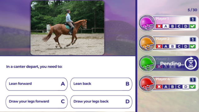 Equestrian Training Gameplay Screenshot