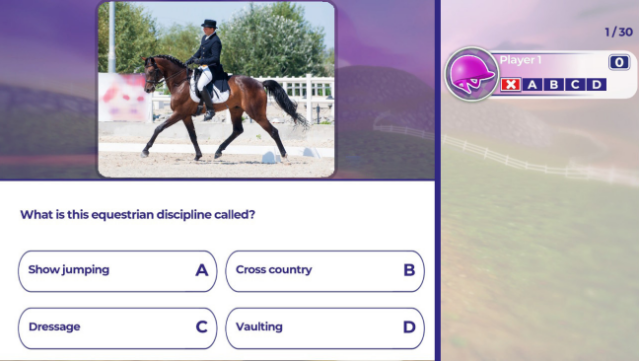 Equestrian Training PC Screenshot