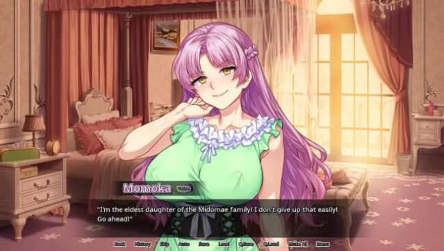 Secrets of a Porn Shop Princess PC Screenshot