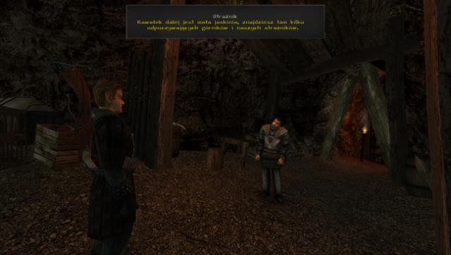 The Chronicles of Myrtana: Archolos PC Screenshot